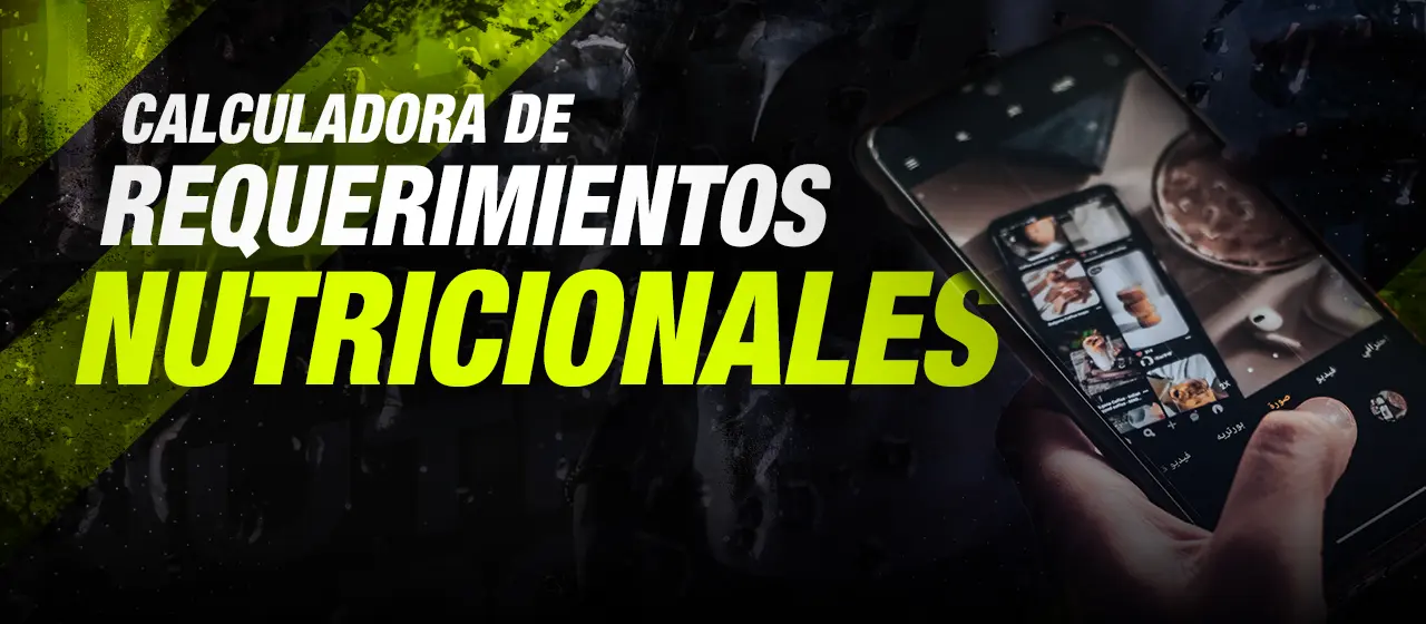 Fondo
